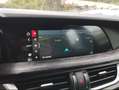 Alfa Romeo Stelvio 2.2 TDI 190CV Q4 AUTOM.+PDC+PRIVACY+NAVI+FULL LED Grigio - thumbnail 13