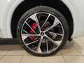 Audi Q5 Q5 SPB 40 TDI quattro S tronic Identity Black Bianco - thumbnail 7