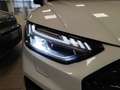 Audi Q5 Q5 SPB 40 TDI quattro S tronic Identity Black Bianco - thumbnail 11