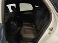 Audi Q5 Q5 SPB 40 TDI quattro S tronic Identity Black Bianco - thumbnail 13