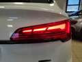 Audi Q5 Q5 SPB 40 TDI quattro S tronic Identity Black Bianco - thumbnail 12