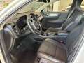Volvo XC40 2.0 d3 Business Plus *IVA22%*EURO6D-TEMP Bianco - thumbnail 7