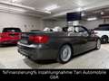 Alpina B3 3,0 Cabrio *Deutsch*Alpina-Scheckheft*1.Hand* Braun - thumbnail 13