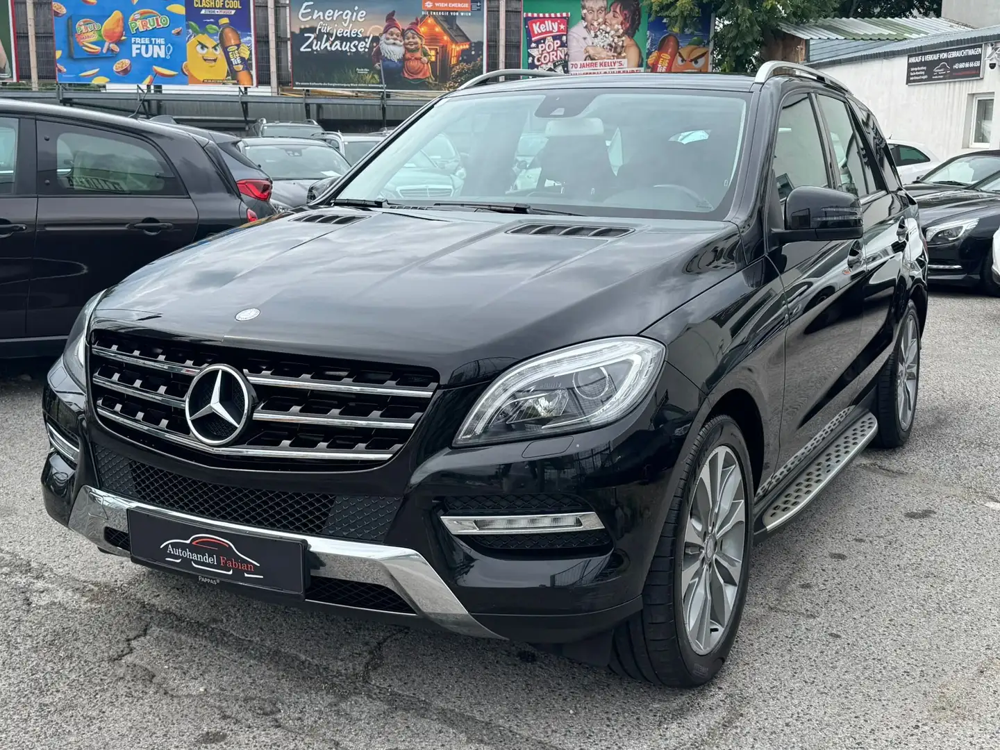 Mercedes-Benz ML 250 4MATIC Autom. 204PS NEUE STEUERKETTE Pickerl 09/25 Schwarz - 2