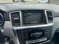 Mercedes-Benz ML 250 4MATIC Autom. 204PS NEUE STEUERKETTE Pickerl 09/25 Schwarz - thumbnail 15