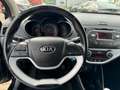 Kia Picanto 1.0 CVVT DynamicPlusLine clima, sportvelg, multi s Чорний - thumbnail 15