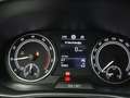 Skoda Fabia Ambition 1.0 TSI/ LED, Tempomat, Navi, SHZ Grau - thumbnail 15