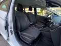 Ford Fiesta 1.1 75 CV Titanium + Comfort Pack PREZZO REALE Blanc - thumbnail 11