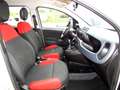 Fiat Panda 1,2 Easy* EURO 6* KLIMA* FEST PREIS Weiß - thumbnail 7