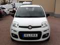 Fiat Panda 1,2 Easy* EURO 6* KLIMA* FEST PREIS Weiß - thumbnail 2
