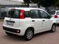 Fiat Panda 1,2 Easy* EURO 6* KLIMA* FEST PREIS Weiß - thumbnail 4