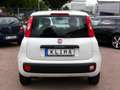 Fiat Panda 1,2 Easy* EURO 6* KLIMA* FEST PREIS Weiß - thumbnail 5