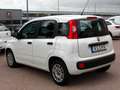 Fiat Panda 1,2 Easy* EURO 6* KLIMA* FEST PREIS Weiß - thumbnail 6