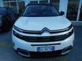 Citroen C5 Aircross C5 Aircross BlueHDi 130 S&S EAT8 Shine Weiß - thumbnail 2