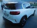 Citroen C5 Aircross C5 Aircross BlueHDi 130 S&S EAT8 Shine Weiß - thumbnail 4