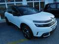Citroen C5 Aircross C5 Aircross BlueHDi 130 S&S EAT8 Shine Weiß - thumbnail 3