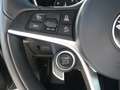Alfa Romeo Stelvio SUPER Q4 2.0 TURBO AHK NAVI SPORTPAKET 19ZOLL Grau - thumbnail 28
