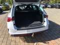 Skoda Octavia Combi RS TDI DSG Matrix-LED Navi AHK Blanc - thumbnail 26