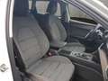 SEAT Leon Sportstourer 2.0 TDI Xcellence Allwetterrei Weiß - thumbnail 15