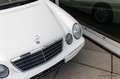 Mercedes-Benz E 430 Elegance | 106.000KM | Sunroof | Memory Weiß - thumbnail 17