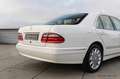 Mercedes-Benz E 430 Elegance | 106.000KM | Sunroof | Memory Weiß - thumbnail 12