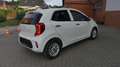 Kia Picanto Kamera Sitzhzg Lenkradhzg Android White - thumbnail 5