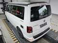 Volkswagen T6.1 California Ocean Edition 2.0TDI 4M AHK STHZ Bianco - thumbnail 2