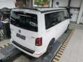 Volkswagen T6.1 California Ocean Edition 2.0TDI 4M AHK STHZ Bianco - thumbnail 5
