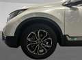 Honda CR-V Híbrido 2.0 i-MMD 135 kW (184 CV) 2WD e-CVT E Weiß - thumbnail 13