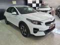 Kia XCeed 1.0 T-GDi Eco-Dynamics Drive Blanc - thumbnail 3