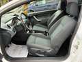 Ford Fiesta 1,25 Titanium *INSP/ZAHNRIEMEN/HU NEU* Weiß - thumbnail 9