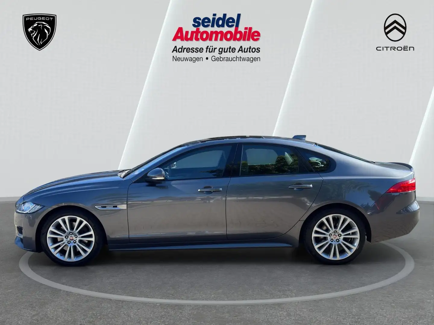 Jaguar XF 30d 300PS R-Sport Automatik, PANO, ACC Grigio - 2