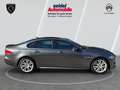 Jaguar XF 30d 300PS R-Sport Automatik, PANO, ACC Grigio - thumbnail 6