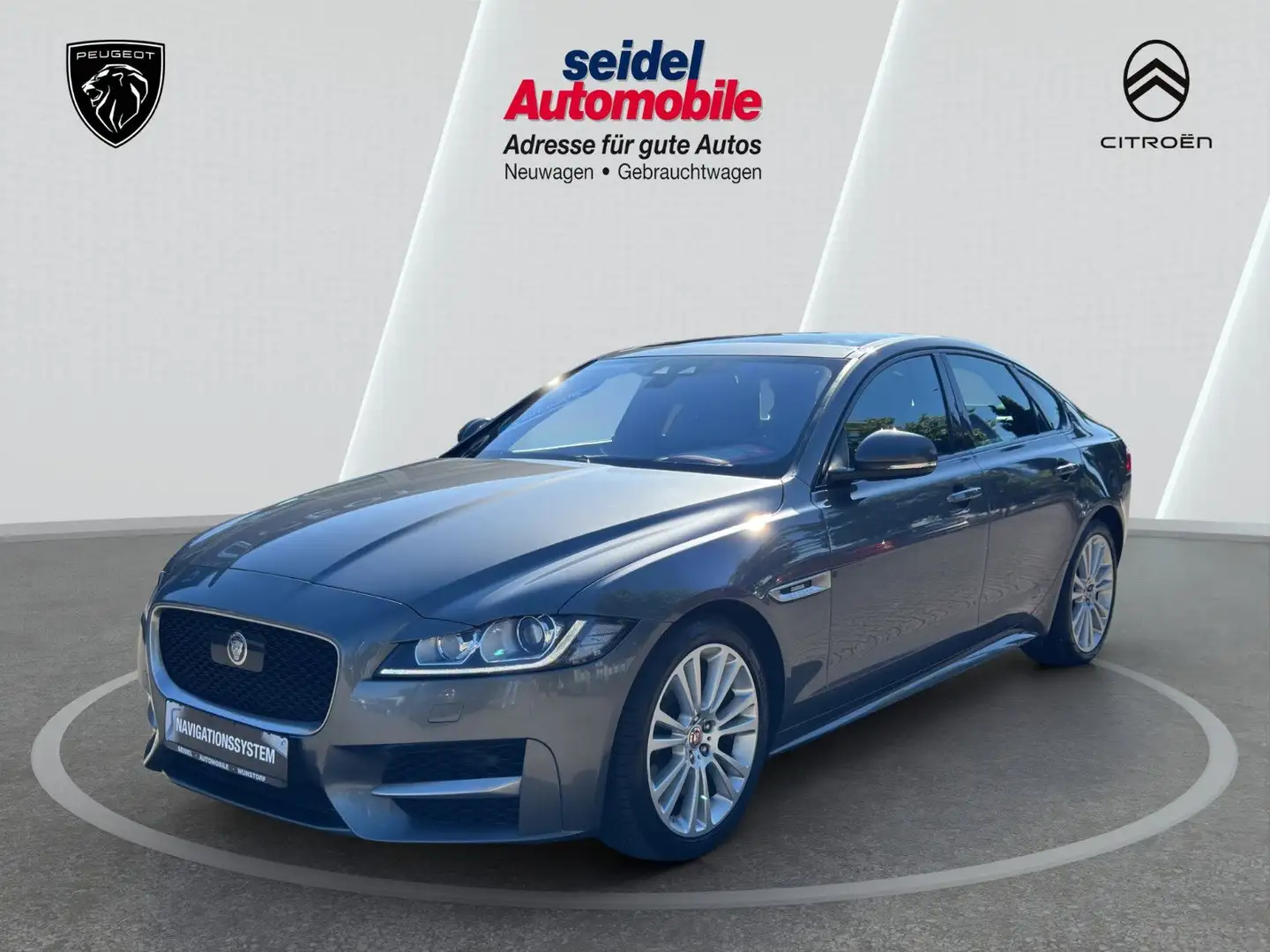 Jaguar XF 30d 300PS R-Sport Automatik, PANO, ACC Grigio - 1