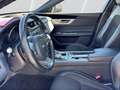 Jaguar XF 30d 300PS R-Sport Automatik, PANO, ACC Grigio - thumbnail 19
