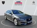 Jaguar XF 30d 300PS R-Sport Automatik, PANO, ACC Grigio - thumbnail 7