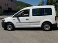 Volkswagen Caddy 2.0 TDI 102 CV Kombi Wit - thumbnail 8