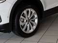 Volkswagen T-Roc 1,5 TSI Life LED NaviMedia Sitzheiz. Parkassist... Blanco - thumbnail 7