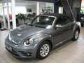 Volkswagen Beetle Cabrio 1.2 TSI BMT Design *NAVI*KLIMA* Grau - thumbnail 1