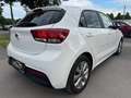 Kia Rio 1,0 TGDI GPF Silber ISG !!! VIGNETTE,VOLLTANK U... Weiß - thumbnail 9