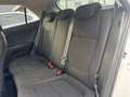Kia Rio 1,0 TGDI GPF Silber ISG !!! VIGNETTE,VOLLTANK U... Weiß - thumbnail 18