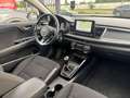 Kia Rio 1,0 TGDI GPF Silber ISG !!! VIGNETTE,VOLLTANK U... Weiß - thumbnail 20