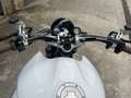 BMW R 1150 R cade racer/scrambler - thumbnail 5