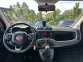 Fiat Panda 1.2 Lounge Klima/Pdc/Nebel/15Zoll/uvm. Rot - thumbnail 11