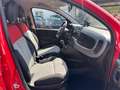 Fiat Panda 1.2 Lounge Klima/Pdc/Nebel/15Zoll/uvm. Rot - thumbnail 14