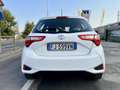Toyota Yaris 5p 1.0 Trend White Edition    PREZZO REALE!! - thumbnail 5