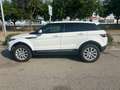 Land Rover Range Rover Evoque Range Rover Evoque 2.0TD4 Pure 4WD Aut. 150 Pure - thumbnail 3