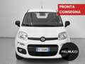 Fiat Panda Panda 1.2 Easy - thumbnail 2