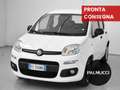 Fiat Panda Panda 1.2 Easy - thumbnail 1