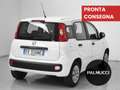 Fiat Panda Panda 1.2 Easy - thumbnail 3